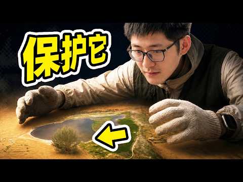 在沙漠里种了1800万棵树，然后呢？